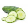 PEPINO CULTIVADO EN GALICIA (1 KG)